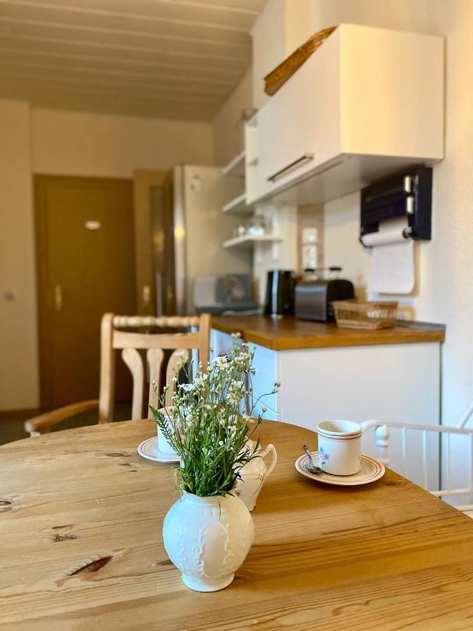 Ferienwohnung Schmidtalien Dommitzsch Eksteriør billede